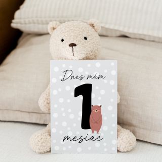 Zachyťte vzácne okamihy vášho dieťatka. Naše míľnikové kartičky pomáhajú uchovať spomienky na všetky dôležité chvíle — od...